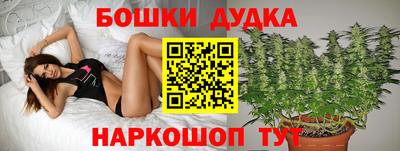 шишки Лесосибирск