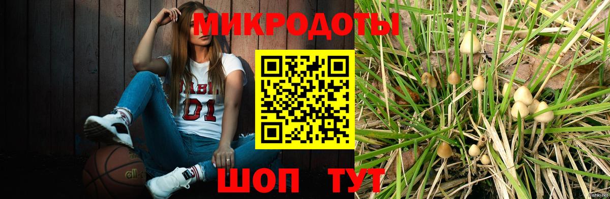 Псилоцибиновые грибы Psilocybe  Вход с VPN  где найти наркотики  Южно-Сахалинск 