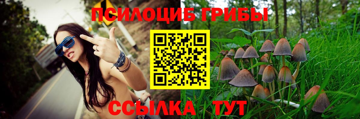Псилоцибиновые грибы MAGIC MUSHROOMS Южно-Сахалинск